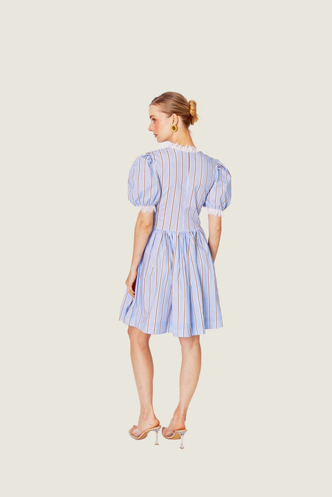 AZURE & CHESTNUT LACE DETAILS MINI DRESS